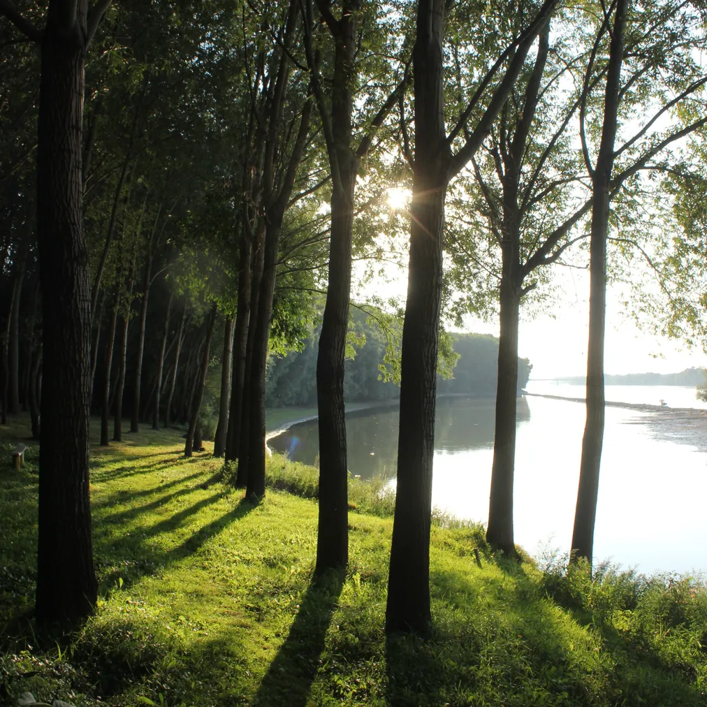 Donauauen - Bootsfahrt