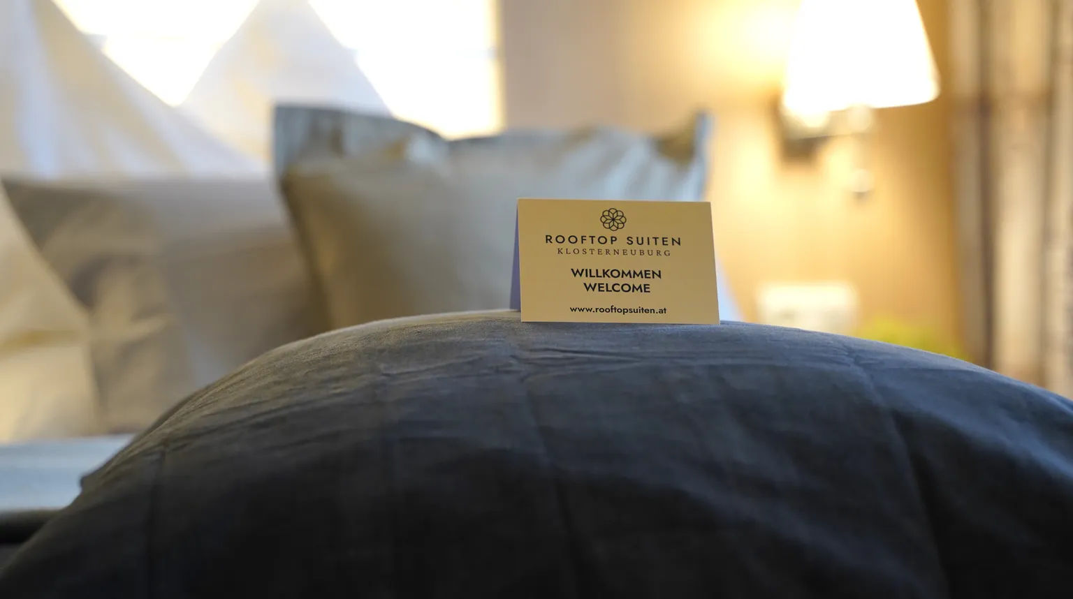 Rooftop Suit - Rooftop