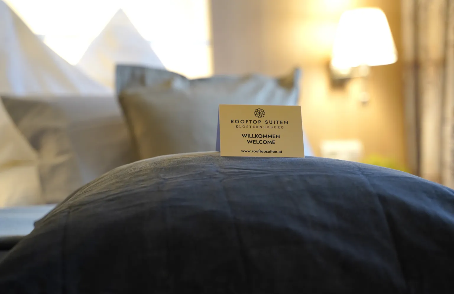 Rooftop Suit - Rooftop